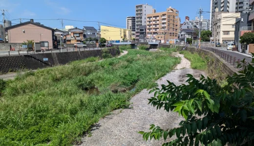 藤原広嗣｜鎌足・不比等からの家系と生涯をわかりやすく解説