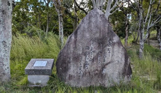 万葉集「巻5-839番歌」（田氏真上）