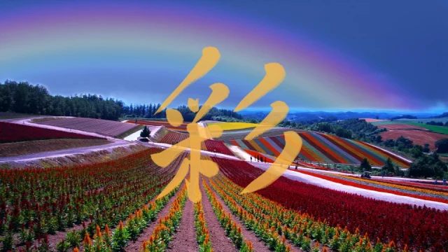 「彩」の漢字の成り立ち｜采と彡で「いろどり」を意味する理由